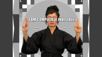 Hito Steyerl: HOW NOT TO BE SEEN: A Fucking Didactic Educational .Mov File   