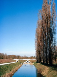 Eines seiner prgendsten Projekte ist die Renaturierung der Flusslandschaft Aire im Kanton Genf.